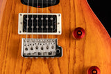 Paul Reed Smith SE Swamp Ash Special Vintage Burst