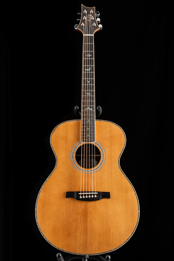 Paul Reed Smith SE T60E Tonare Natural