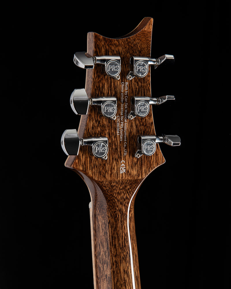 Paul Reed Smith SE T60E Tonare Natural