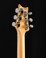 Paul Reed Smith Silver Sky Frost