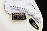 Paul Reed Smith Silver Sky Frost