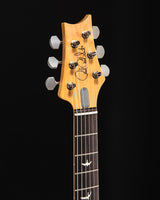Paul Reed Smith Silver Sky Frost