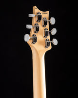Paul Reed Smith Silver Sky Polar Blue