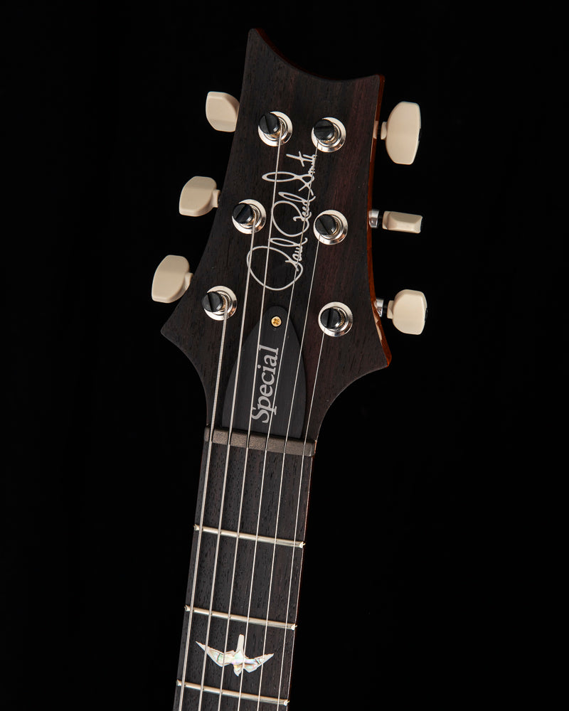 Paul Reed Smith Special Semi-Hollow Charcoal