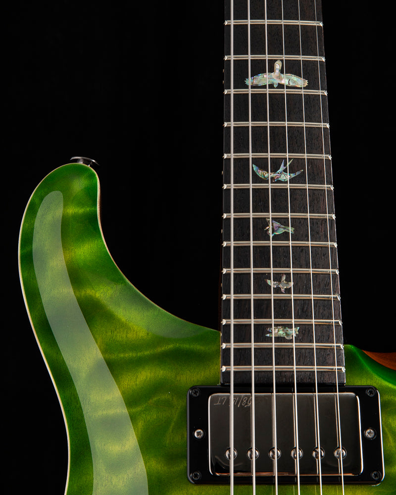 Paul Reed Smith Wood Library Special Semi-Hollow Eriza Verde