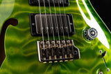 Paul Reed Smith Wood Library Special Semi-Hollow Eriza Verde