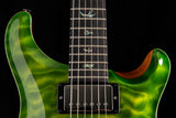 Paul Reed Smith Wood Library Special Semi-Hollow Eriza Verde