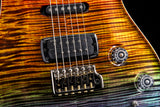 Paul Reed Smith Wood Library Artist Modern Eagle V Brian's Guitars 15th Anniversary Zombie Fade Limited