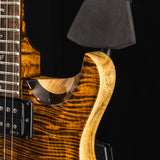 Paul Reed Smith Wood Library Custom 24 Stoptail Limited Edition Tiger Eye