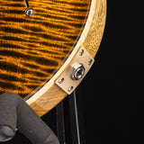 Paul Reed Smith Wood Library Custom 24 Stoptail Limited Edition Tiger Eye