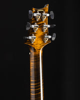 Paul Reed Smith Wood Library Custom 24 Stoptail Limited Edition Tiger Eye