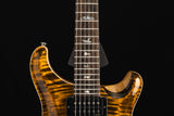 Paul Reed Smith Wood Library Custom 24 Stoptail Limited Edition Tiger Eye