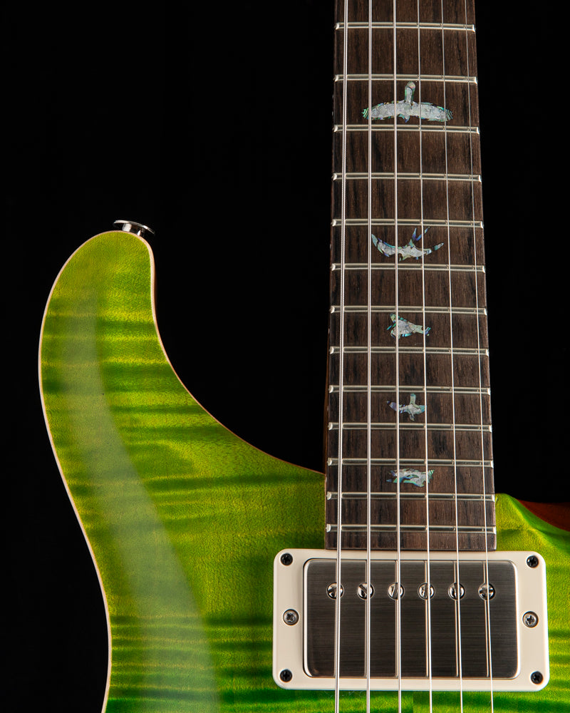 Paul Reed Smith Wood Library DGT Satin Brian's Limited Green Fade