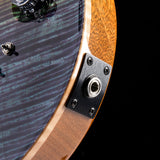 Paul Reed Smith Wood Library Artist Modern Eagle V Brian's Guitars 15th Anniversary Zombie Fade Limited