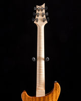 Paul Reed Smith Wood Library Artist Modern Eagle V Brian's Guitars 15th Anniversary Zombie Fade Limited