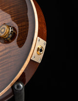 Used Paul Reed Smith Wood Library McCarty Trem Brian's Limited Copperhead
