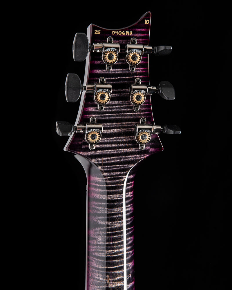 Paul Reed Smith Wood Library Special Semi-Hollow Charcoal Purple Burst Brian's Limited