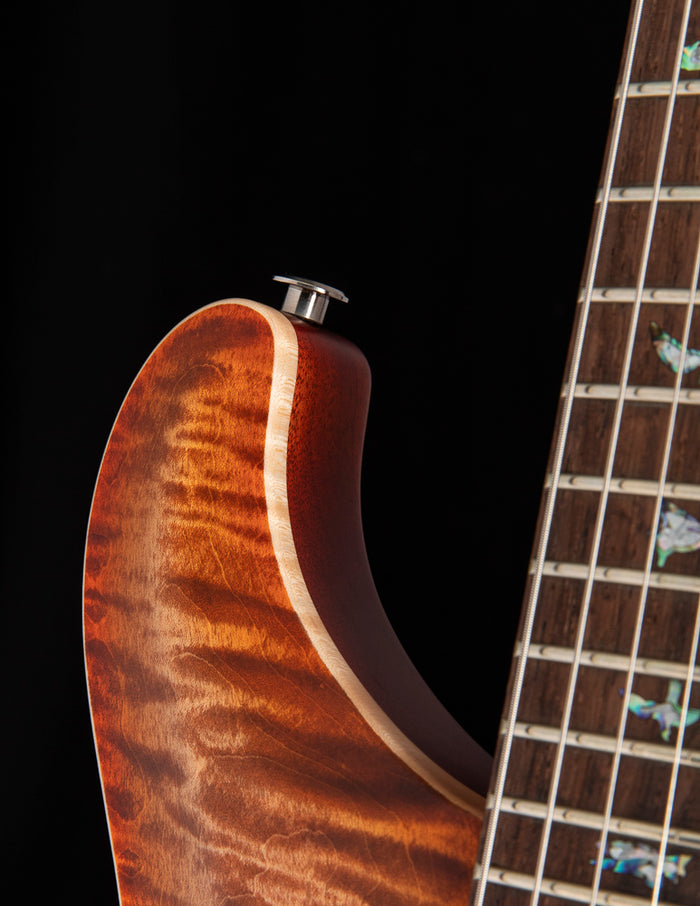 Paul Reed Smith Wood Library DGT Satin Brian's Limited Autumn Sky
