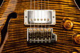 Paul Reed Smith Wood Library DGT Semi-Hollow Yellow Tiger Brian's Guitars Limited