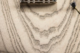 Paul Reed Smith Wood Library NF 53 White Doghair
