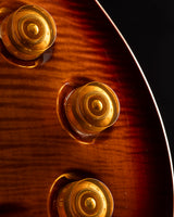 Paul Reed Smith DGT David Grissom Dark Cherry Sunburst