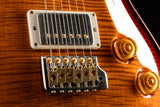 Paul Reed Smith DGT David Grissom Dark Cherry Sunburst