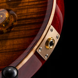 Paul Reed Smith DGT Dark Cherry Burst
