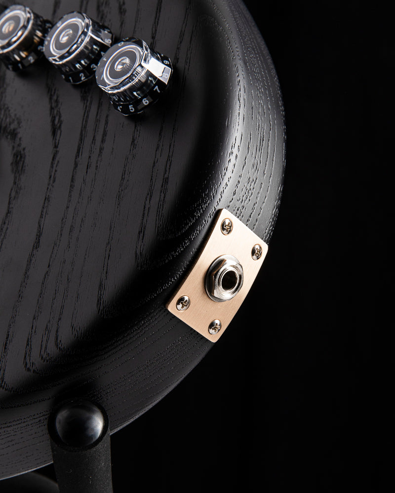 Paul Reed Smith Fiore HH Satin Mark Letteri Signature Black Hyacinth