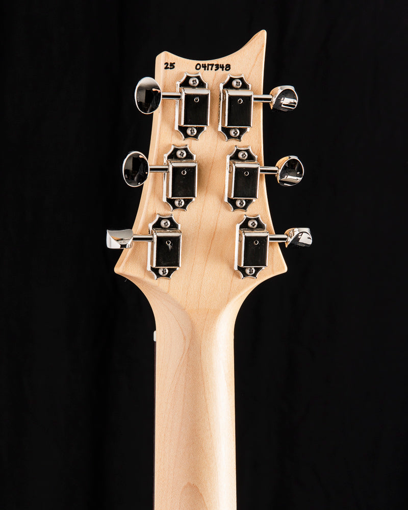 Paul Reed Smith Fiore HH Satin Mark Letteri Signature Black Hyacinth