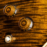 Paul Reed Smith Santana Retro Tiger Eye