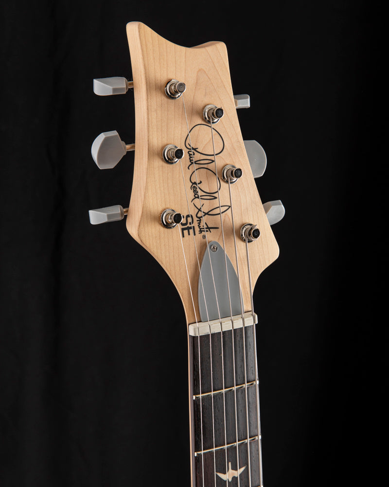 Paul Reed Smith SE Silver Sky Lefty Dandy Lion