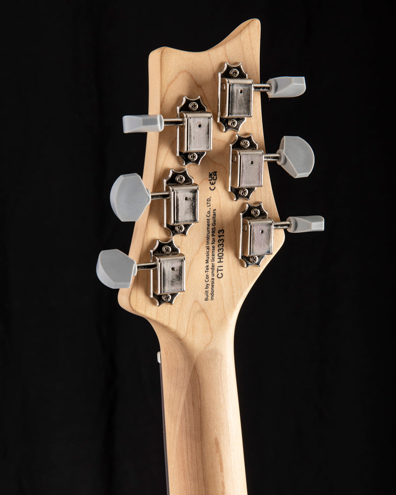 Paul Reed Smith SE Silver Sky Lefty Dandy Lion