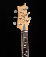Paul Reed Smith Silver Sky Polar Blue