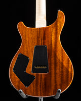 Paul Reed Smith Wood Library Artist Modern Eagle V Brian's Guitars 15th Anniversary Zombie Fade Limited