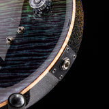 Paul Reed Smith Wood Library Artist Modern Eagle V Brian’s Guitars 15th Anniversary Limited Zombie Fade