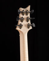 Paul Reed Smith Wood Library Artist Modern Eagle V Brian’s Guitars 15th Anniversary Limited Zombie Fade