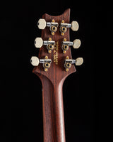 Paul Reed Smith Wood Library DGT Semi-Hollow Aurora Borealis Brian's Guitars Limited