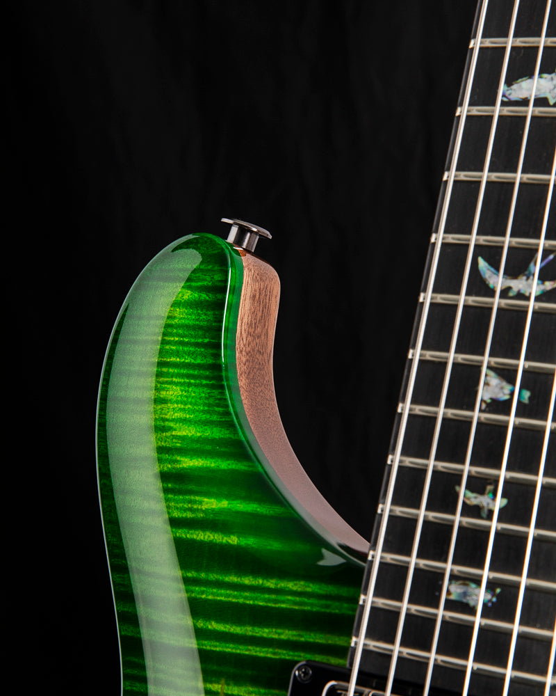 Paul Reed Smith Wood Library Special Semi-Hollow Eriza Verde Brian's Limited