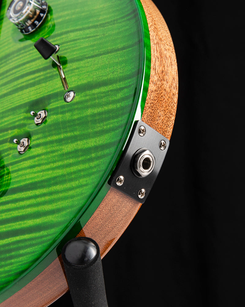 Paul Reed Smith Wood Library Special Semi-Hollow Eriza Verde Brian's Limited