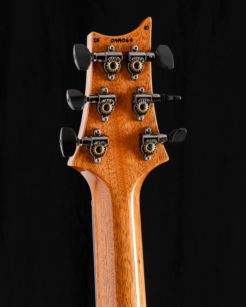 Paul Reed Smith Wood Library Special Semi-Hollow Eriza Verde Brian's Limited