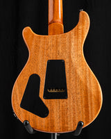 Paul Reed Smith Wood Library Special Semi-Hollow Gray Black Fade Brian's Limited