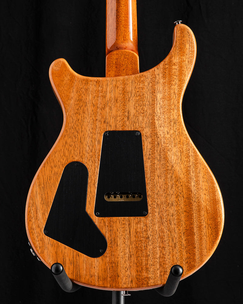Paul Reed Library Paul Reed Smith Wood Library Special Semi-Hollow Gray Black Fade Brian