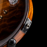 Paul Reed Smith Private Stock Modern Eagle V McCarty Glow