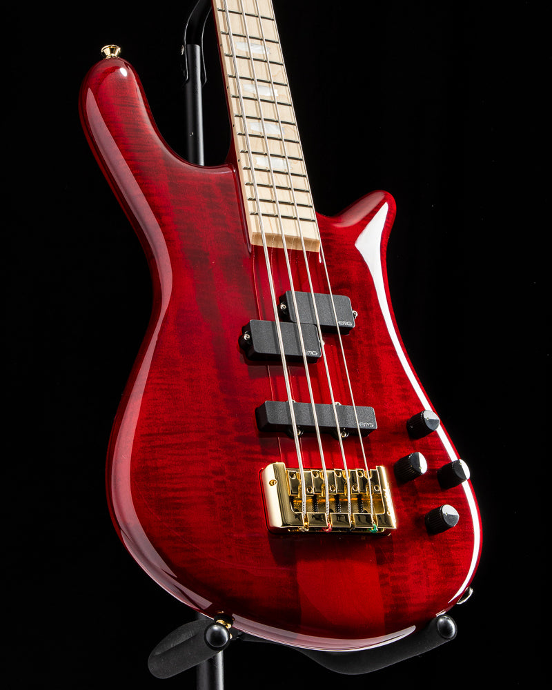 Spector Euro 4 LX Black Cherry Gloss