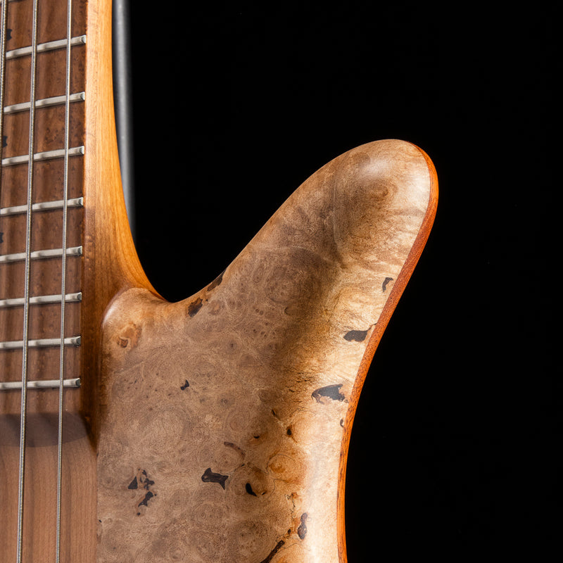 Spector USA Custom Shop NS-2