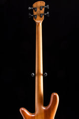 Spector USA Custom Shop NS-2