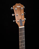 Taylor 14ce Sapele