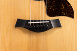 Taylor 14ce Sapele