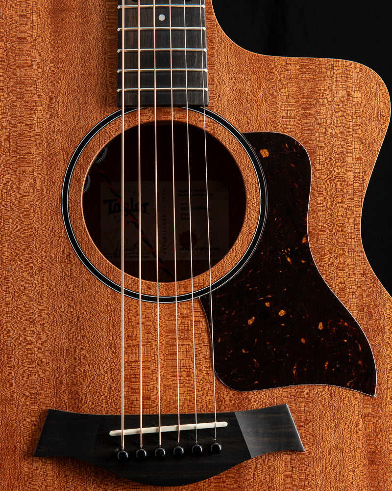 Taylor 24ce Sapele