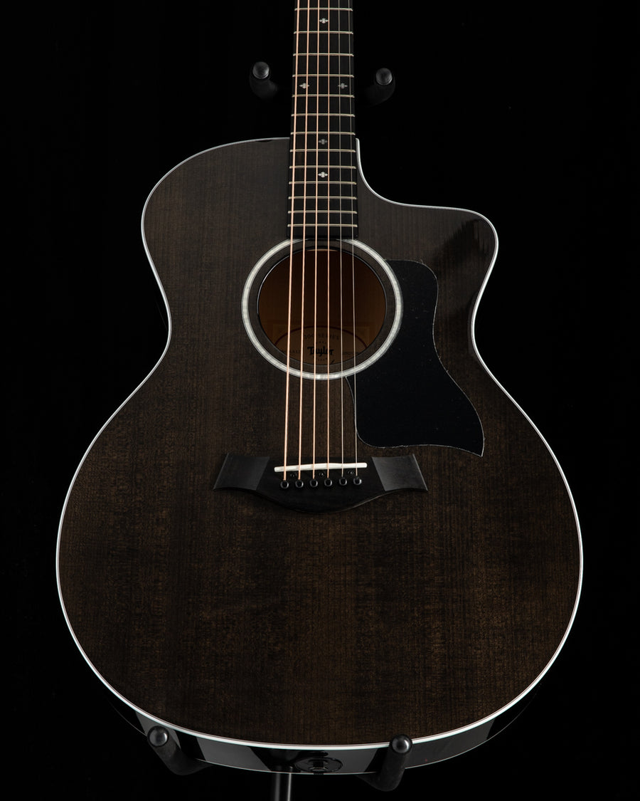 Taylor314ce1202163003-2_900x.